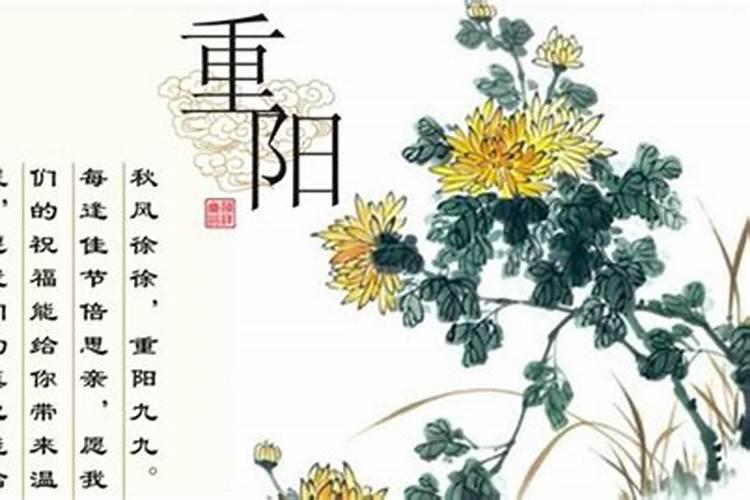 2000年属龙女2025年运势