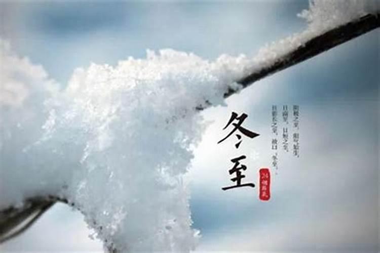 2025年鸡犯太岁吗