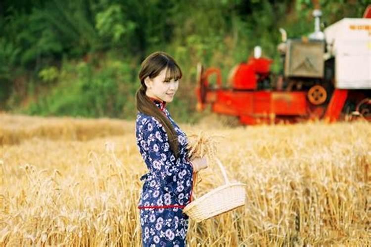 九月马女与十二月兔男的婚配,属马女属兔男婚配