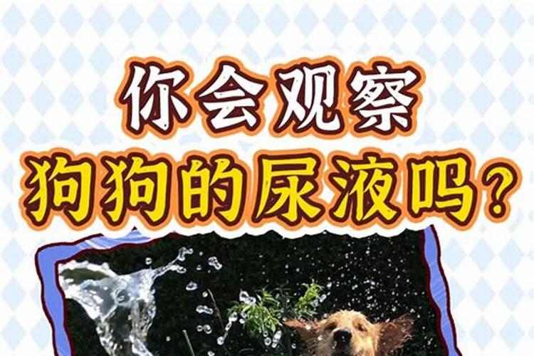 梦见自己尿床了的预兆