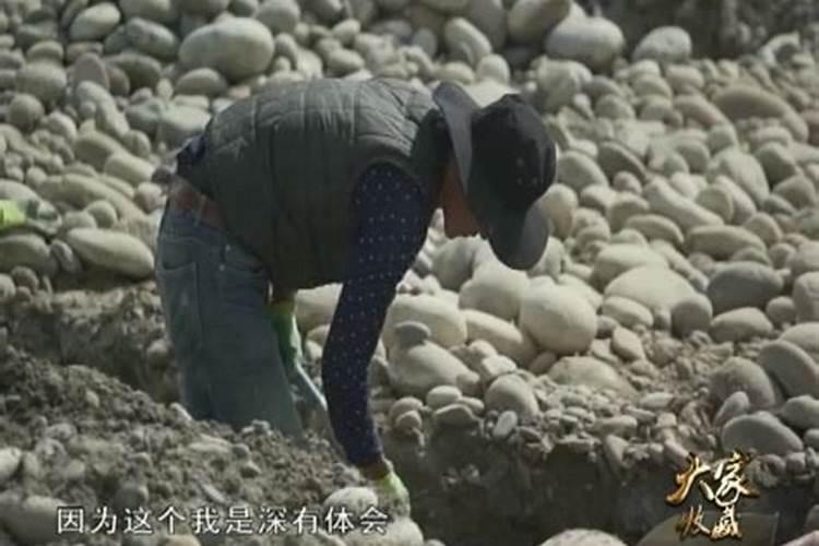梦见挖河