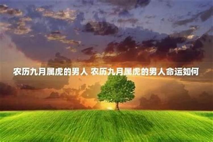 1992年是苦命猴还是富猴