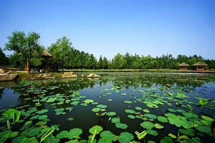 立夏风俗吃什么