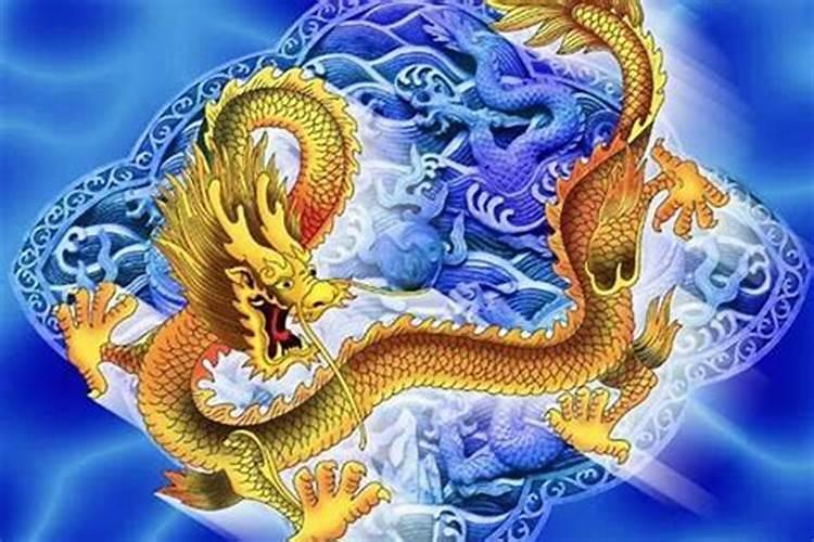 梦见在地上爬的龙
