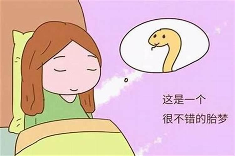 属龙人2025年运势运程