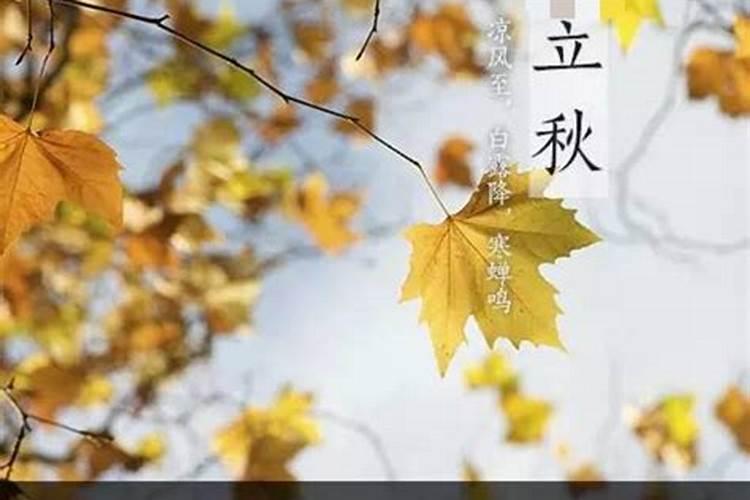 立秋出生的女孩命运 事业运旺盛？