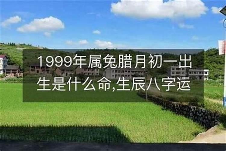 2024腊月龙五行缺什么