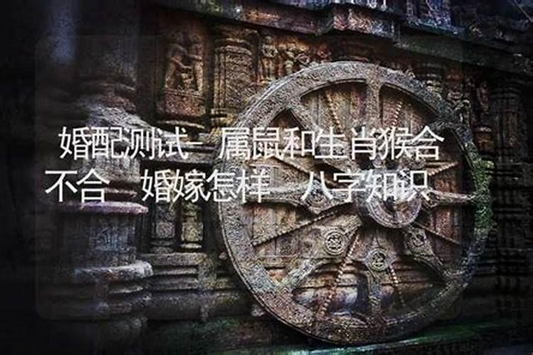 属蛇人的生辰运势 属蛇人的逐月吉凶运势