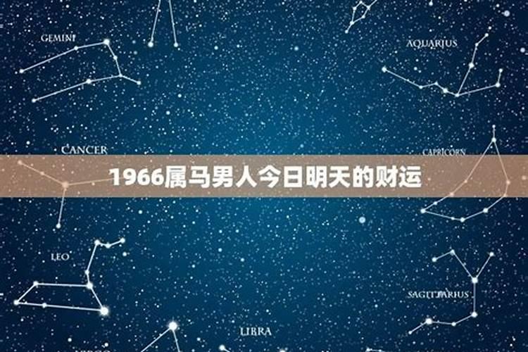 属马人2025年全年运势运程