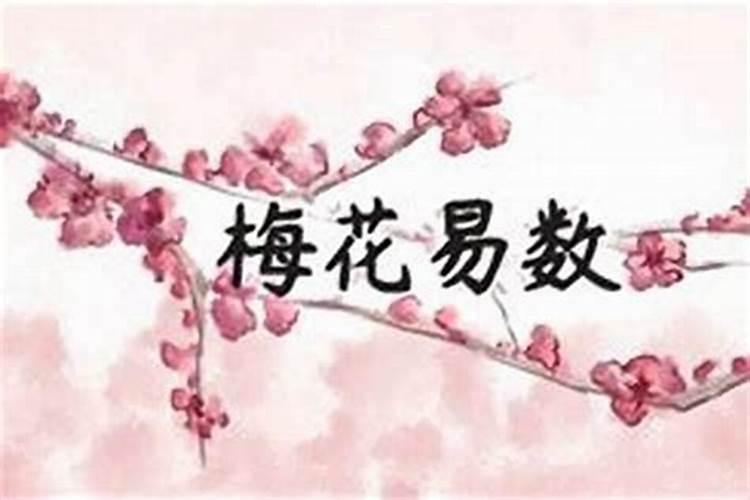 初五接财神供需要准备几种东西