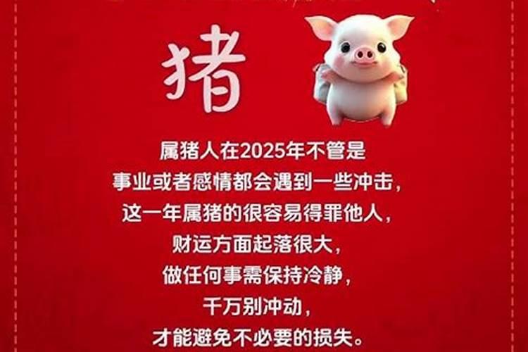 1947属猪2025年几岁