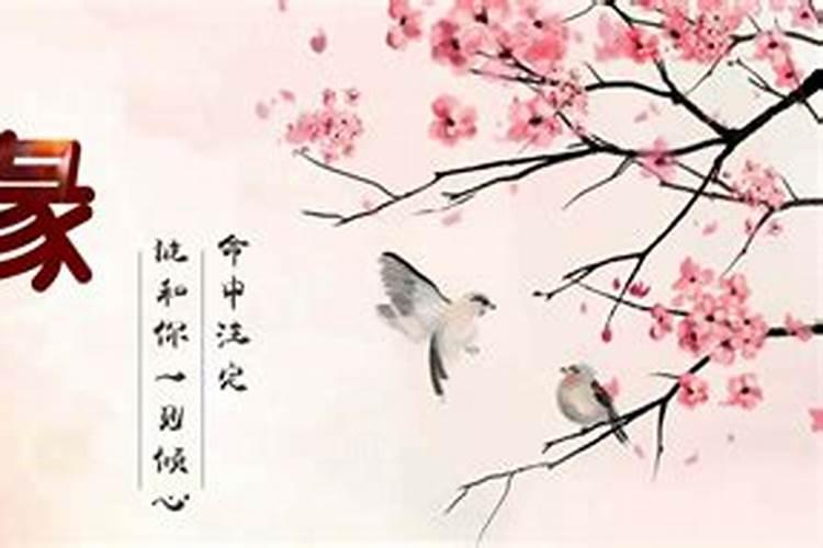 壬子日是什么意思 壬子日柱男女命运解析