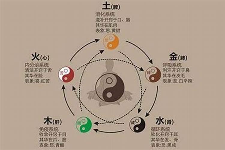 如何从算命八字看出一个人的健康情况