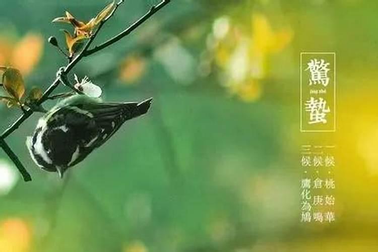 2023惊蛰是结婚好日子吗 2023惊蛰节气适合结婚吗