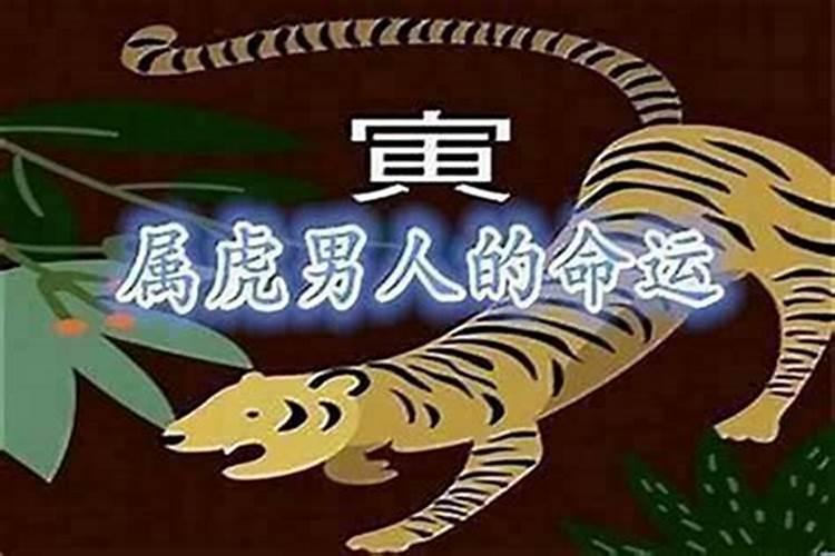 86年虎女2025年属虎的全年运势