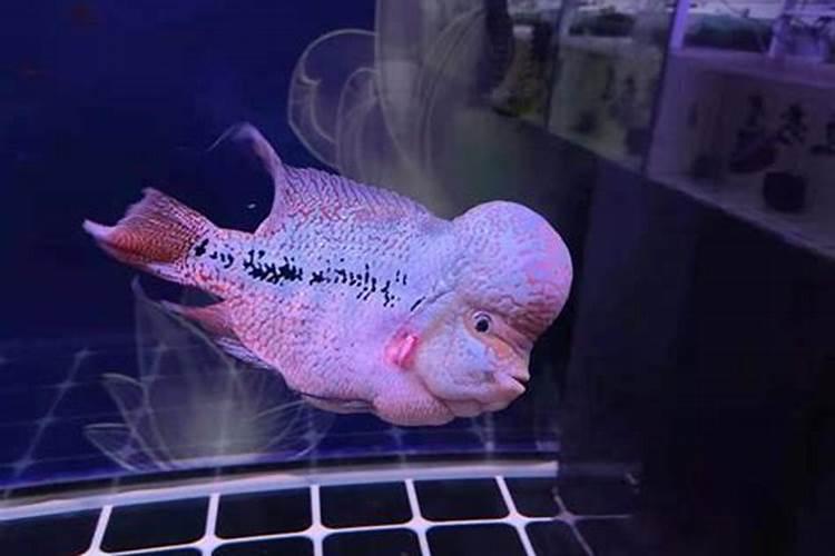 发财最猛的横财催财术催财最快的风水方法