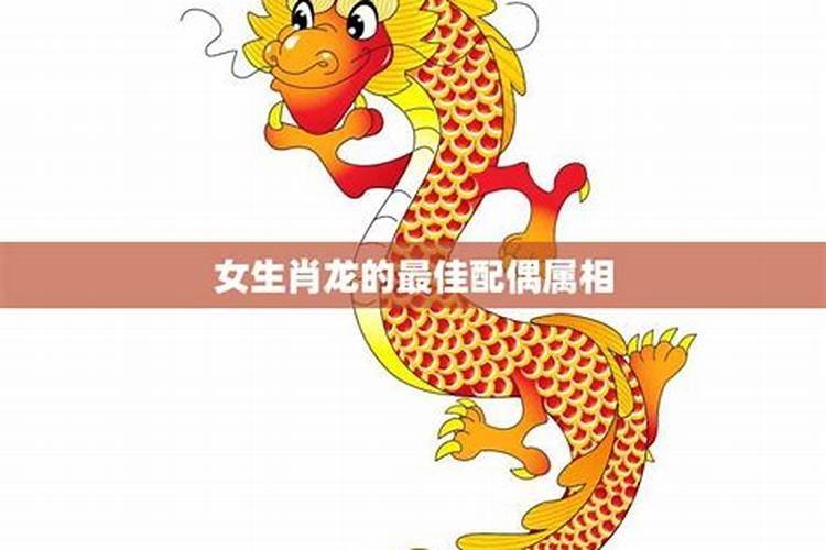 梦见一条蛇给自己的亲人咬了的预兆
