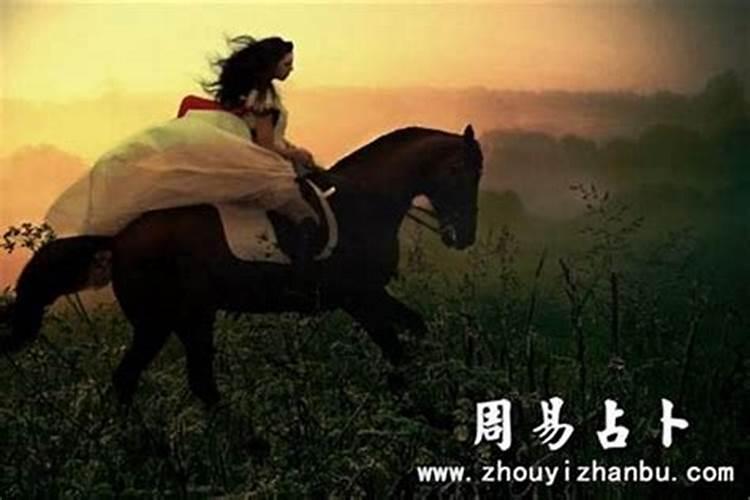 梦见很多马是什么意思