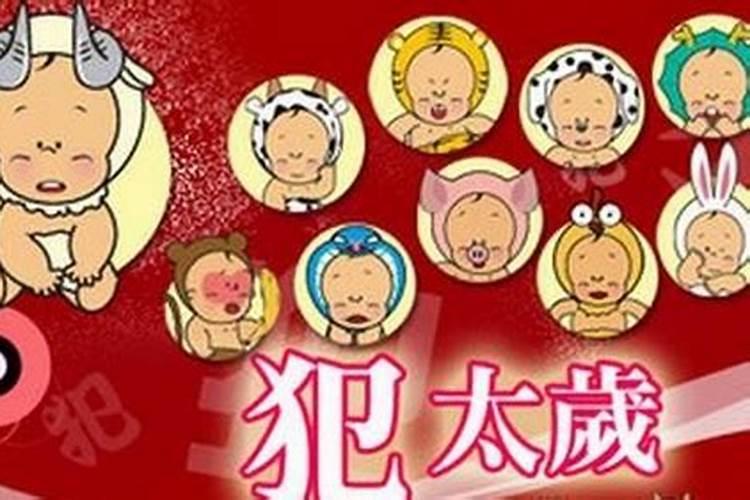 太岁命几多年冲一次,本命来冲太岁羊今年有暗狗什么意思
