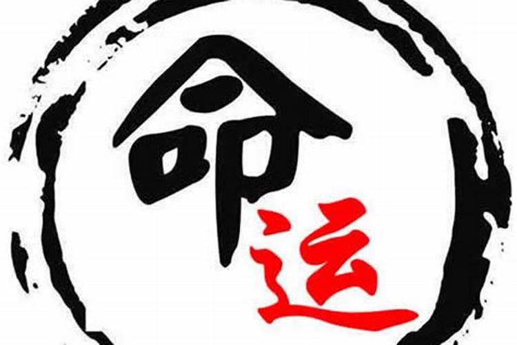 1999年属兔女士[26岁]2025年运势揭秘,看看每月的好运来袭