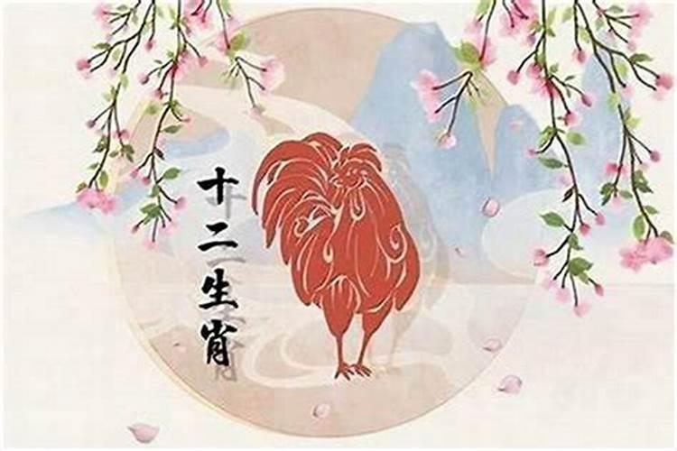 2025属猪女冲太岁忌讳什么