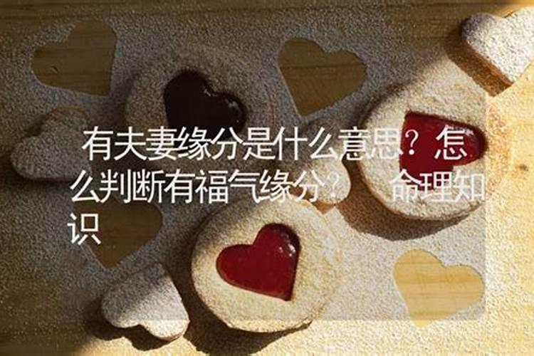 算命说夫妻缘分浅是什么意思