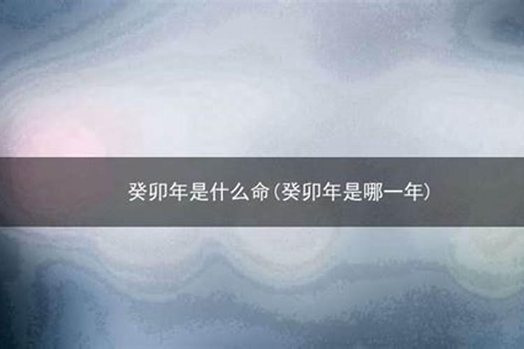 梦见树上桂满了红红的大枣的预兆