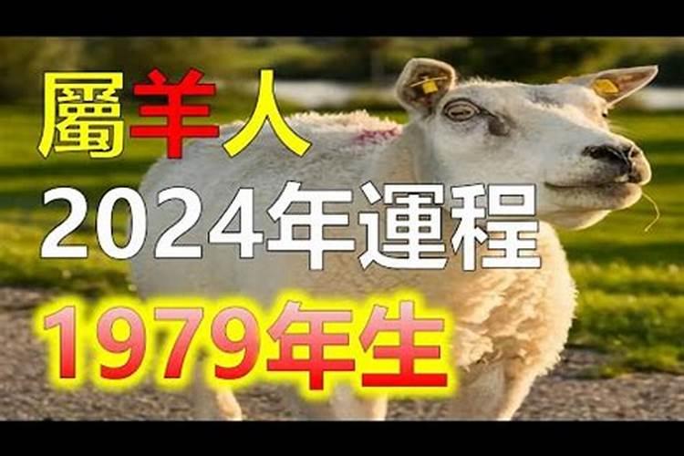1979年属羊人在九紫离火运势如何