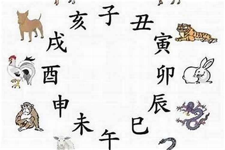八字合婚。男84年农历6月20日,早上六点出生。女85年,农历11月24日,早上...