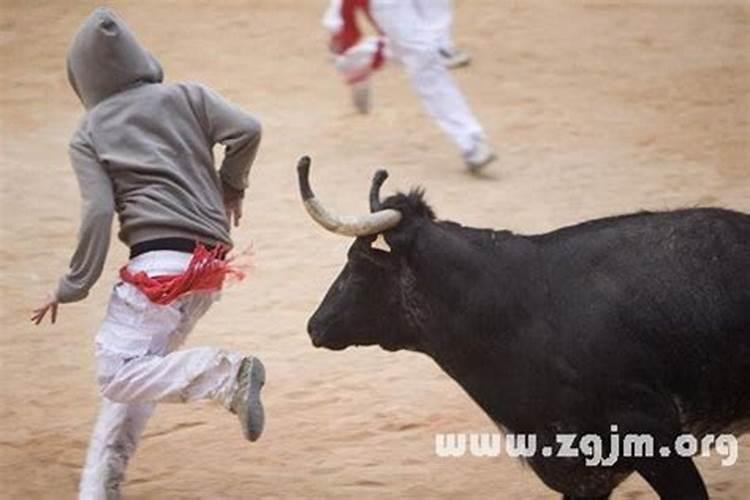 梦见被牛追后来牛死了