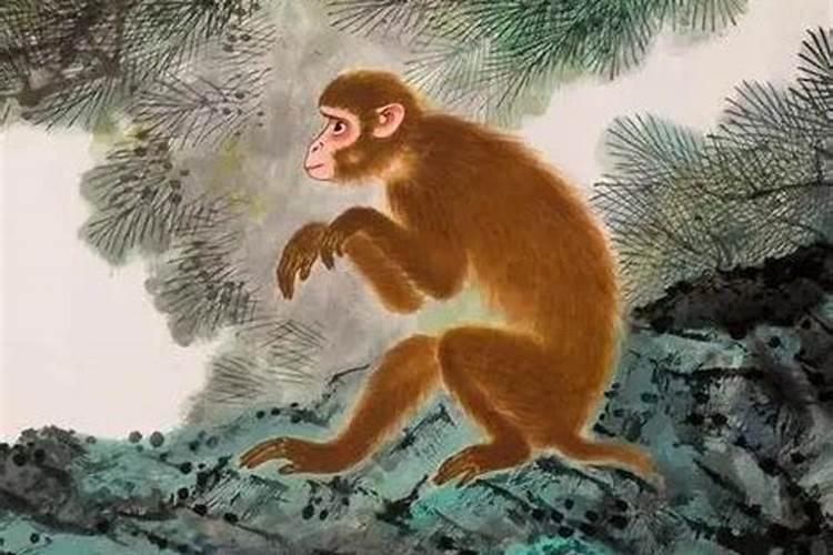 属猪2025年冲太岁能化解吗