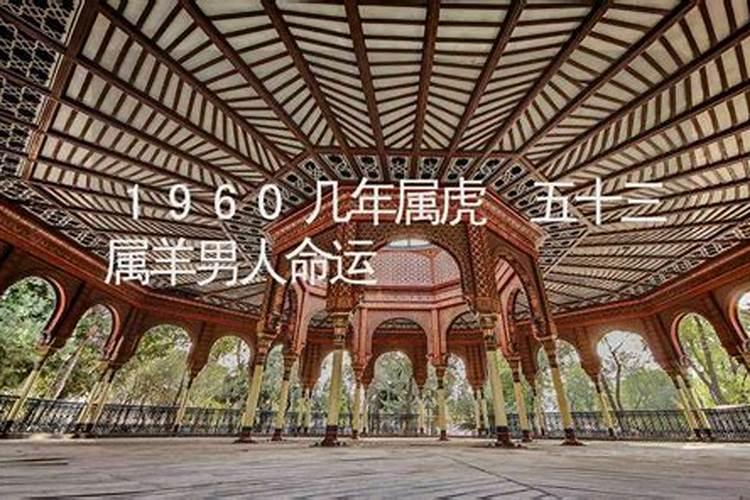 属虎人2025年6月运势