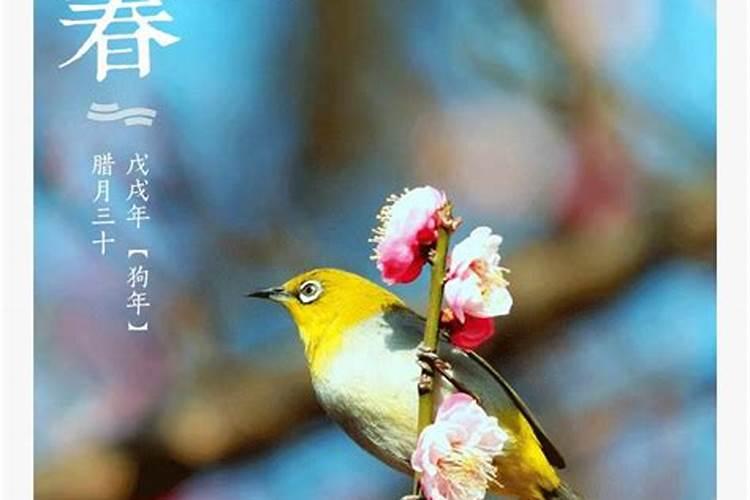 立春的时候吃什么