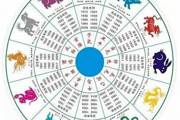 虎和兔的属相合不合