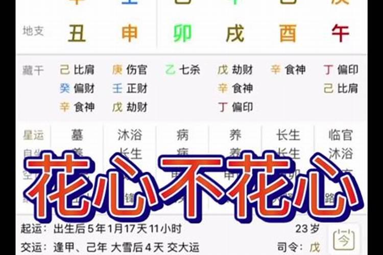 由八字看什么男人最花心