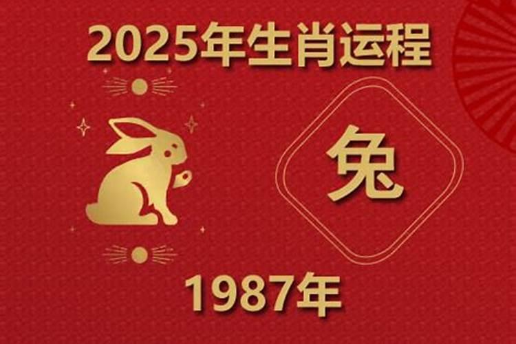 1984年属鼠2025全年运势