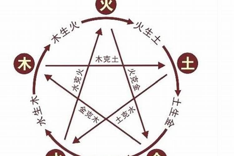 梦见很多很大的老鼠是什么意思