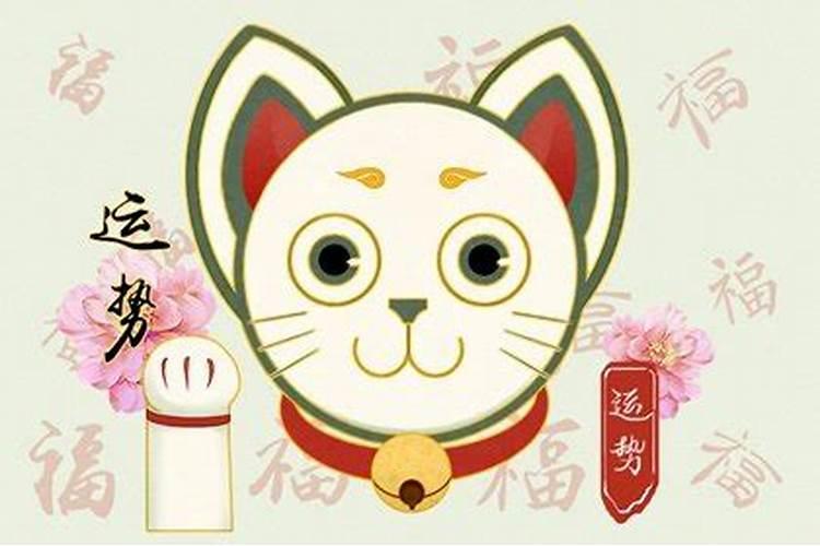 小乖麻这个星座有望成为年度黑马