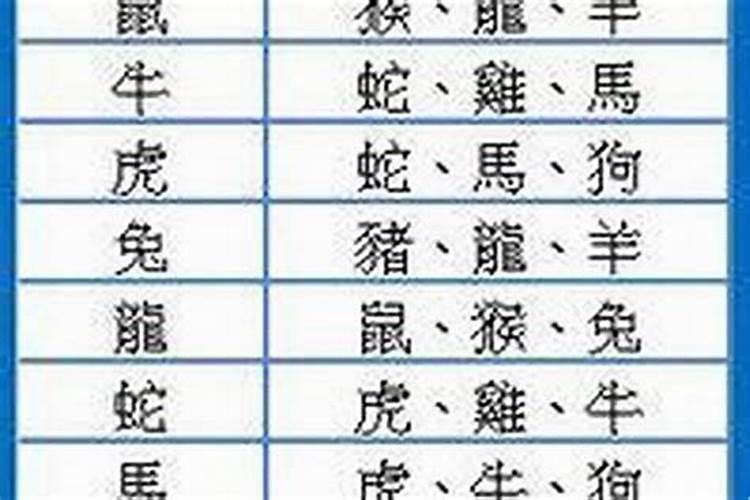 为什么说猪狗不到头,猪狗不到头什么意思