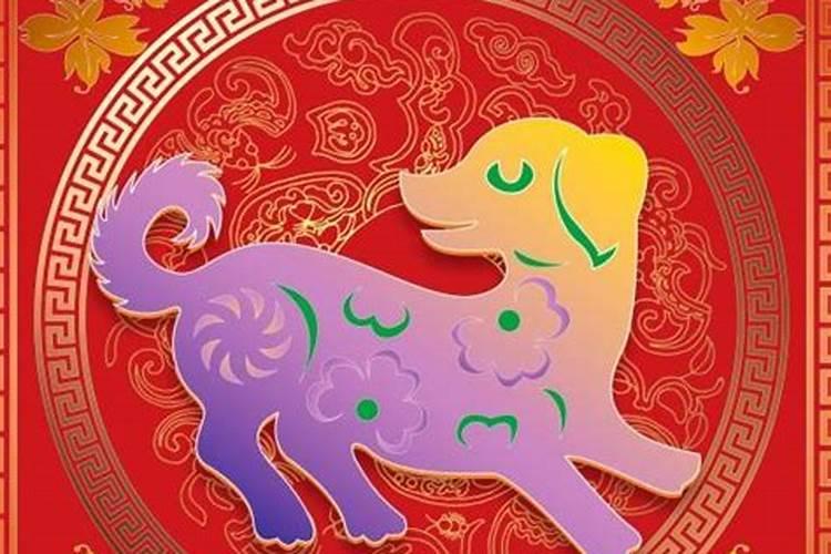 猪狗婚配