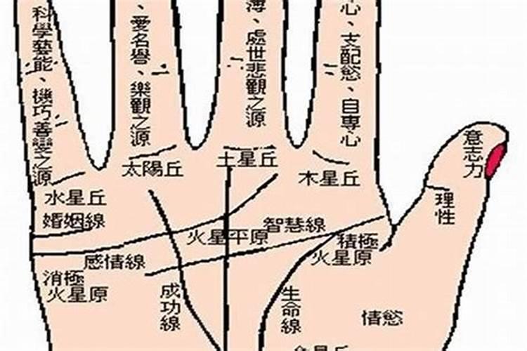 本命年犯太岁什么意思