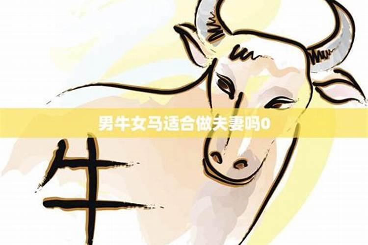 属牛男人和属马女人相配吗