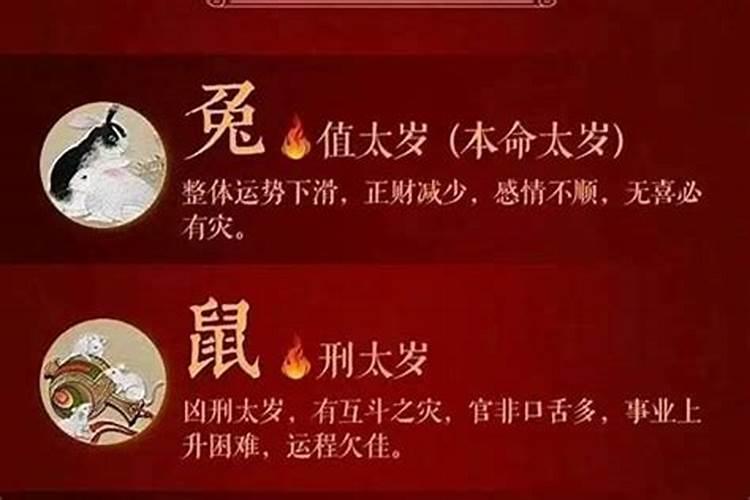 属狗6月份运势如何2025年