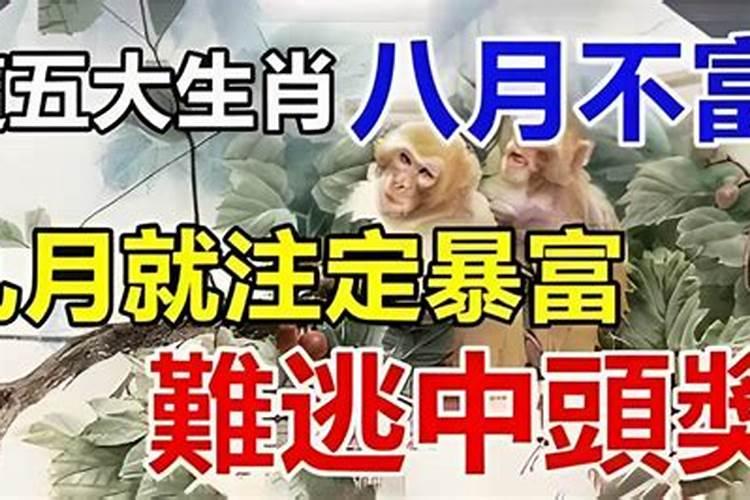 两个人合不合财怎么看 八字合婚和合财缺一不可