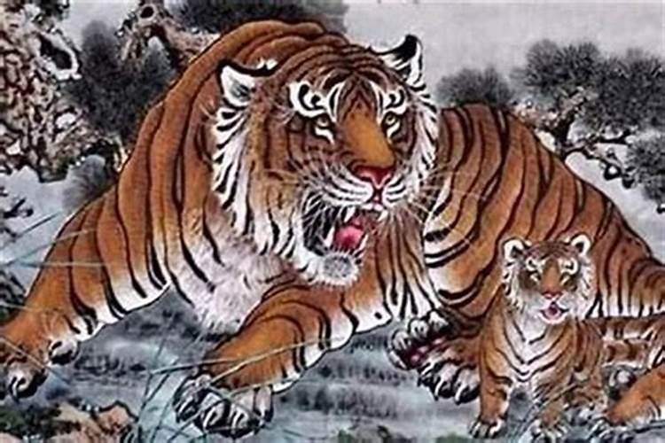 属虎人的性格及命运,属虎性格特点及脾气