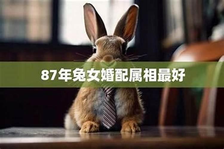 年初七有什么禁忌吗 有关正月初七的注意事项