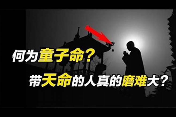 真童子很稀有吗
