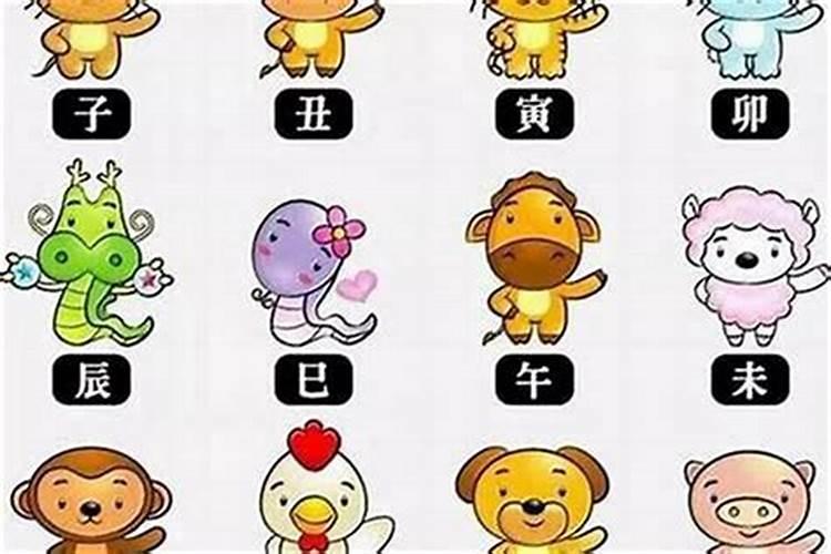 四八运势三入功,七九可单可跟后是什么生肖