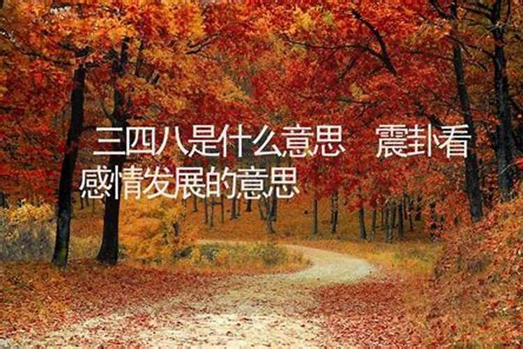 四八是什么生肖