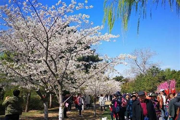 财神节是什么意思 财神节指的是什么